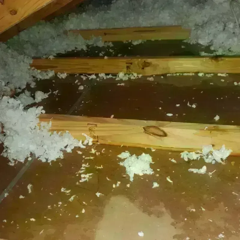 Attic Water Damage in Juneau, WI