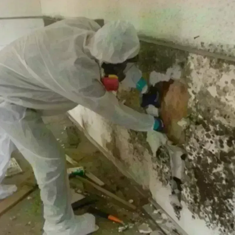 Mold Remediation and Removal in Juneau, WI