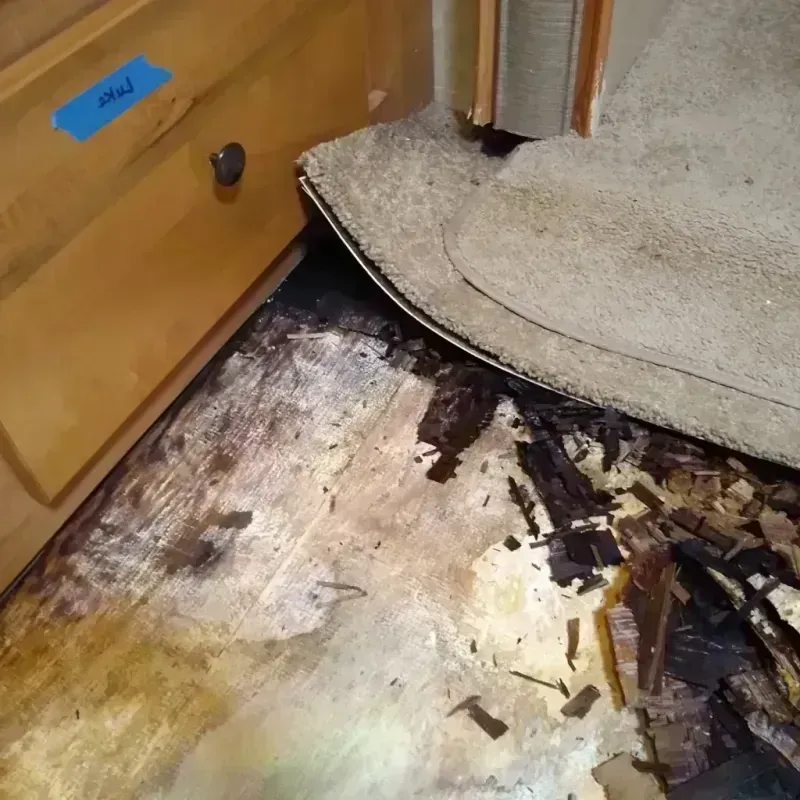 Wood Floor Water Damage in Juneau, WI